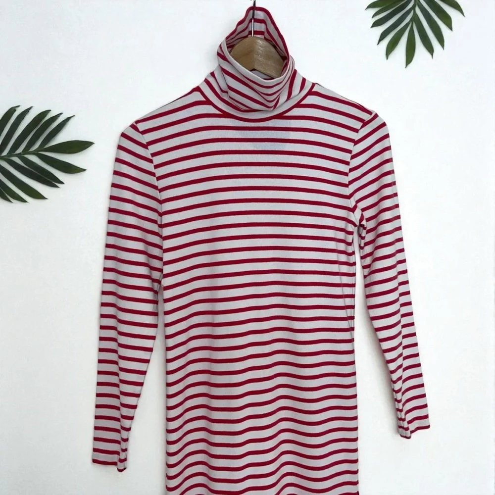 J. Crew Striped Turtleneck Dress